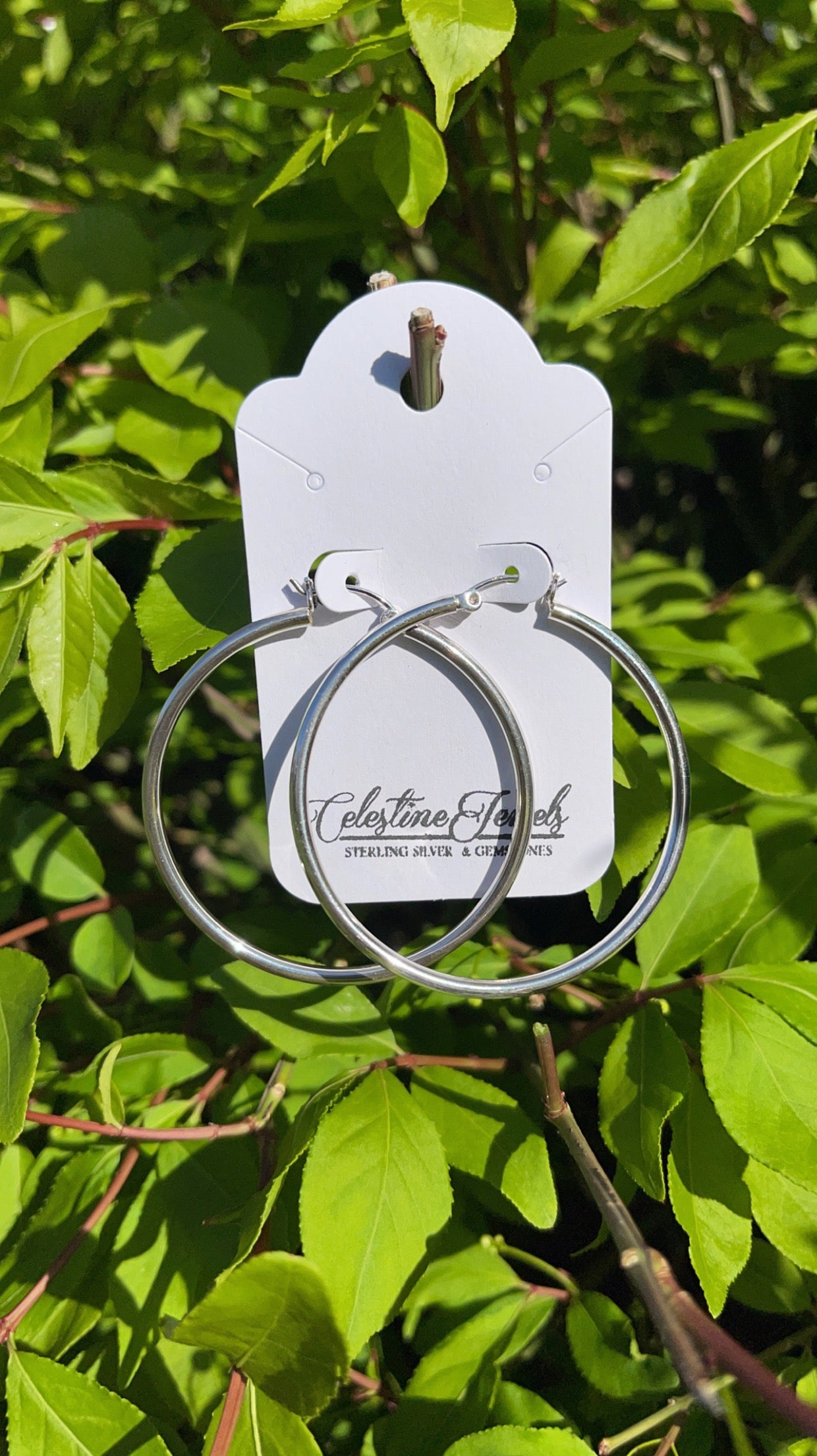 Classic Hoop Earrings