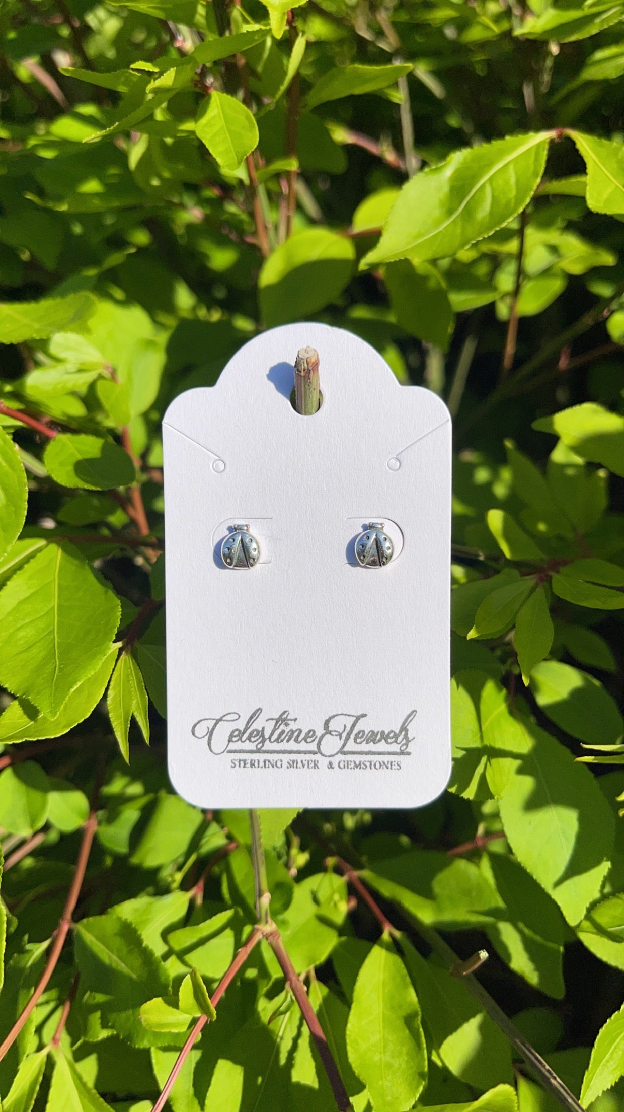 $25 Studs