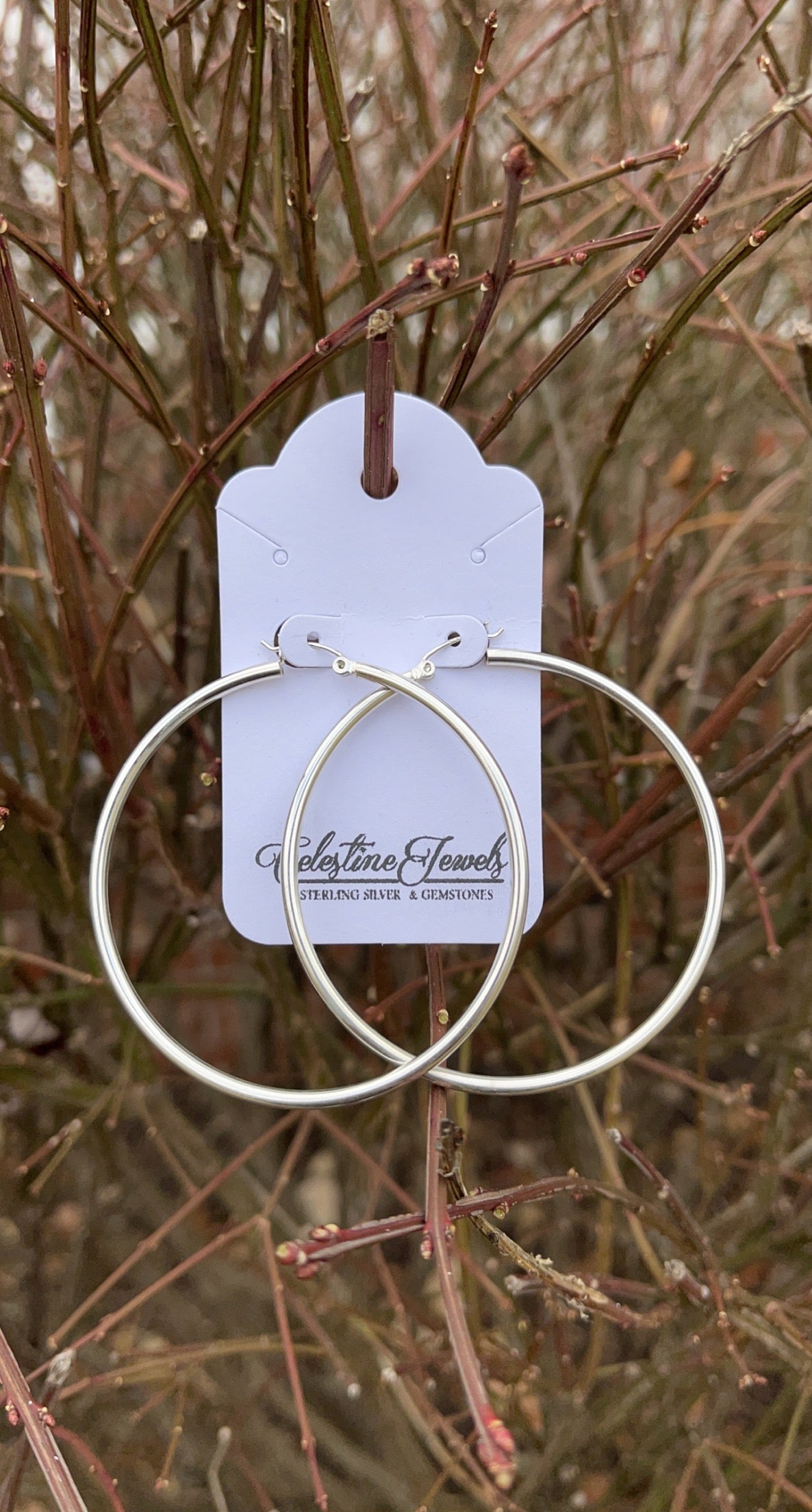 Classic Hoop Earrings