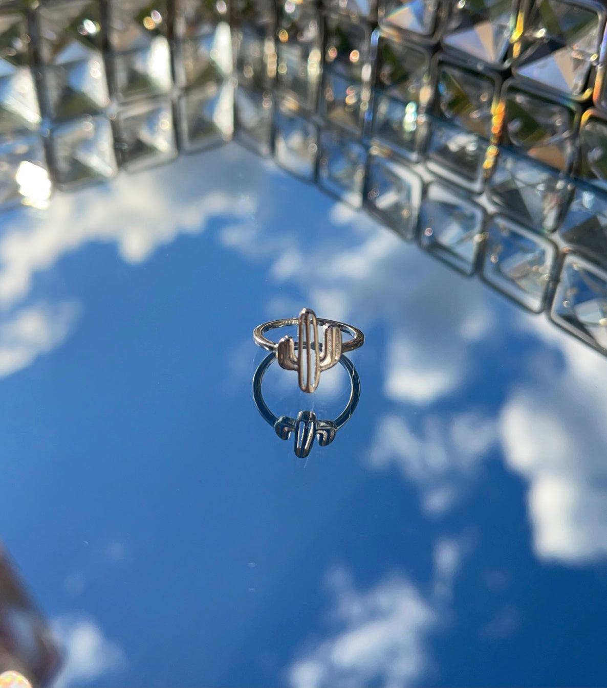 Deserted Toe Ring