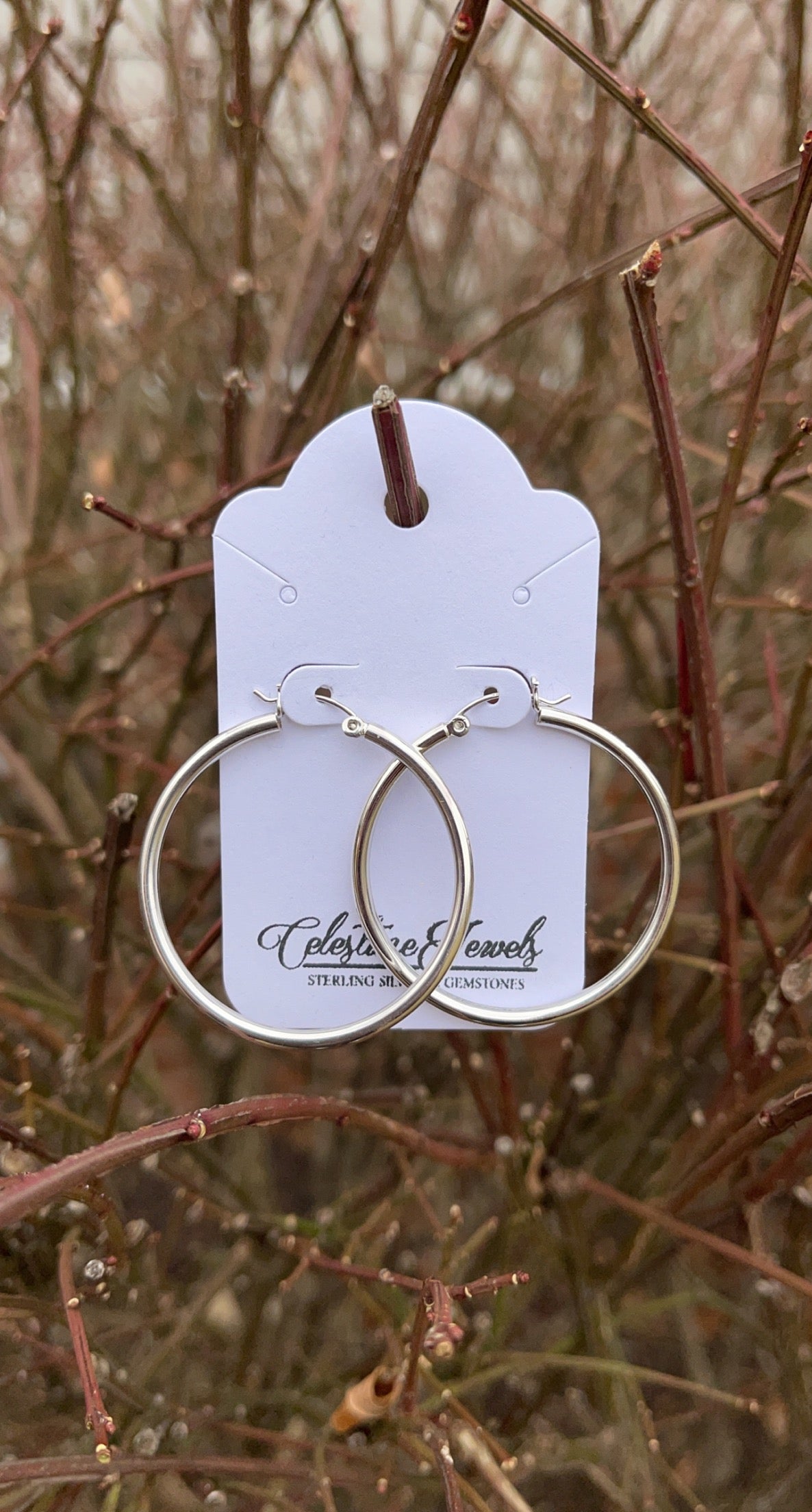 Classic Hoop Earrings